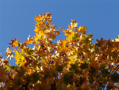 DSC00276