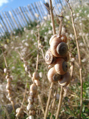 DSC01909