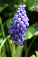 DSC01381