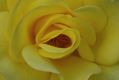 DSC02151