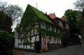 DSC01750